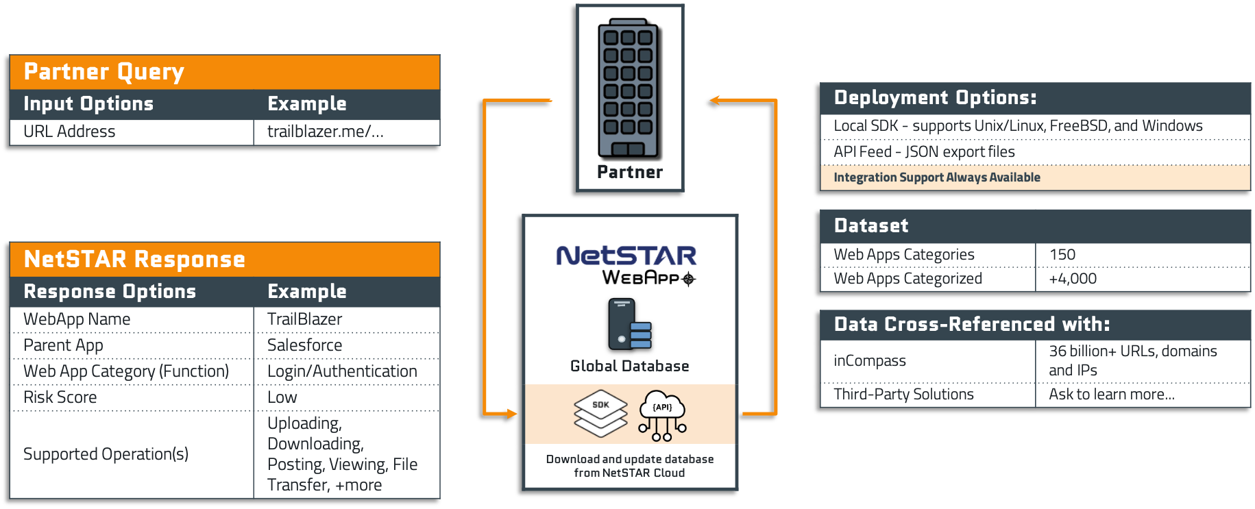 webApp Infographic